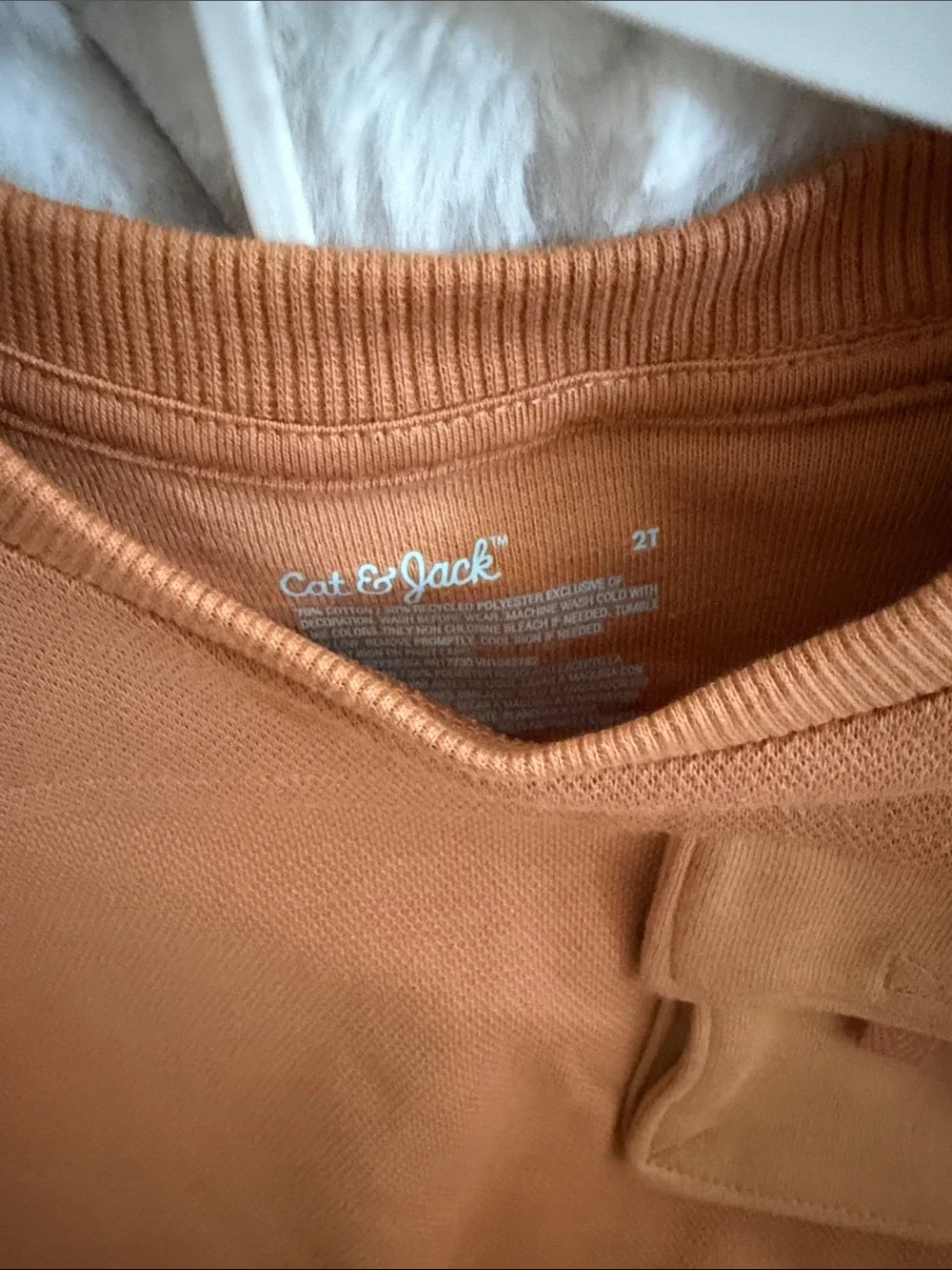 Cat & Jack Rust Orange Baby Sweatshirt and Joggers Set